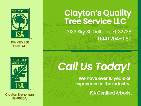 Tree Removal Services Deland FL - Clayton's Quality Tree Service LLC