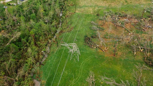  fallen trees and damaged power lines after a storm