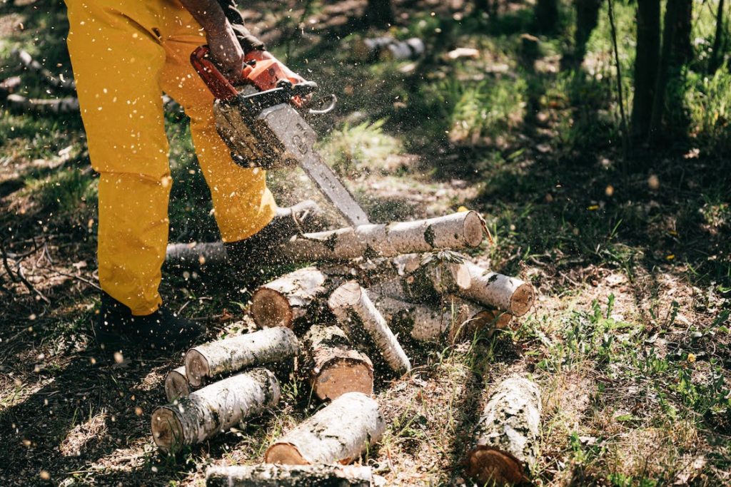 A lumberjack cutting logs with a saw while the sun is out.