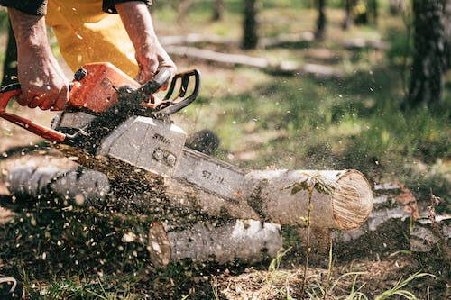 a person cutting a tree limb with a chainsaw 