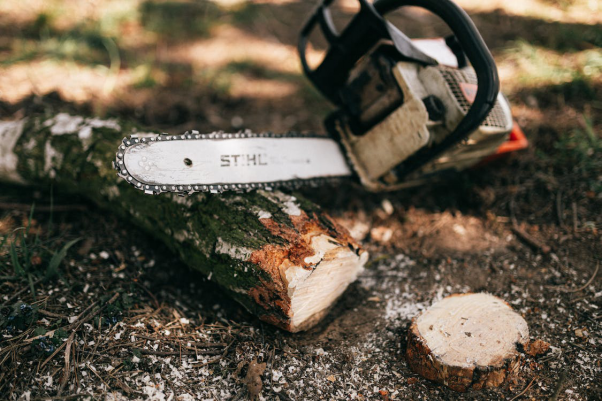A chainsaw is placed next to a stump and a wooden log.
