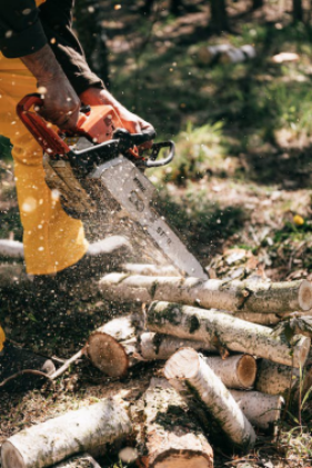 a person cutting a tree log with a chainsaw