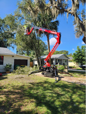 Tree removal services by Clayton’s Quality Tree Service LLC