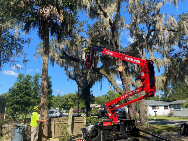 Tree care service by Clayton’s Quality Tree Service LLC’s team using a machine