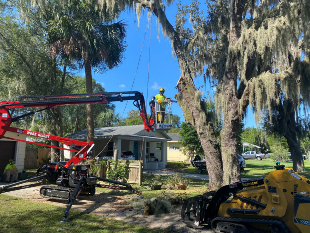  Tree pruning service by Clayton’s Quality Tree Service LLC’s expert team using machinery 