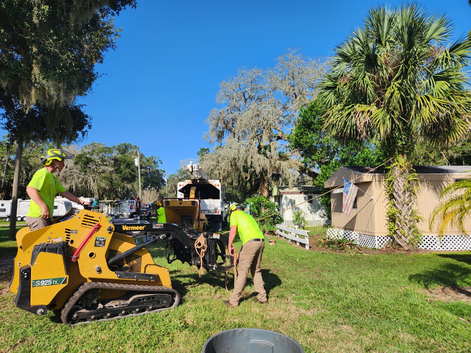 Crew members working together with tree-service equipment on a residential property