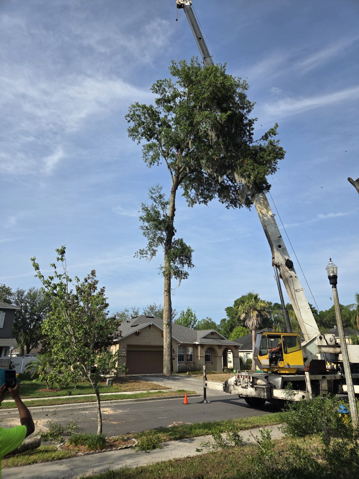 Crane lifting a cut tree section above a residential street