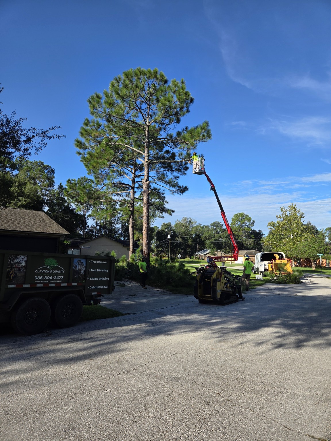 Pine removal at a Deltona home.